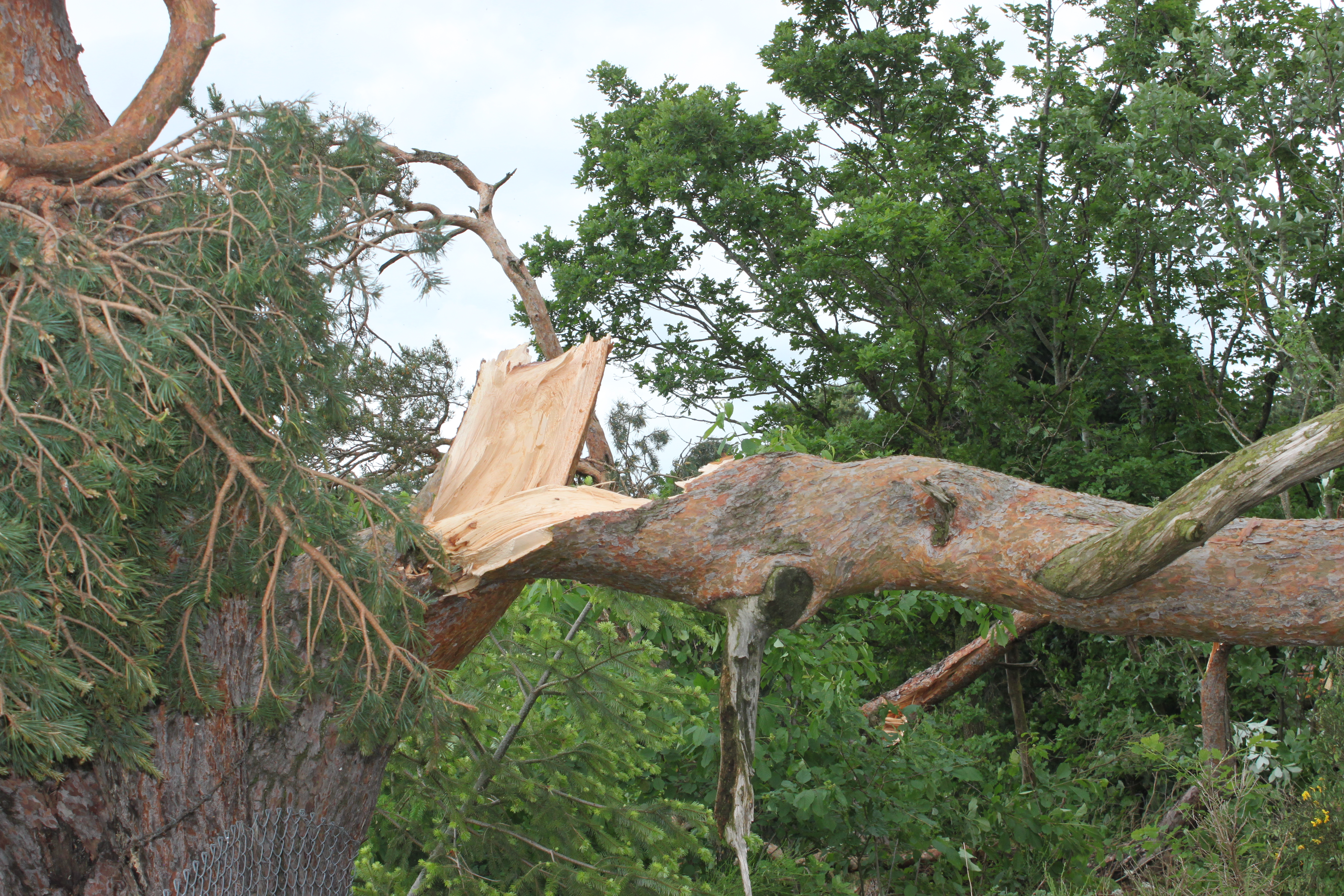 tornade13bis