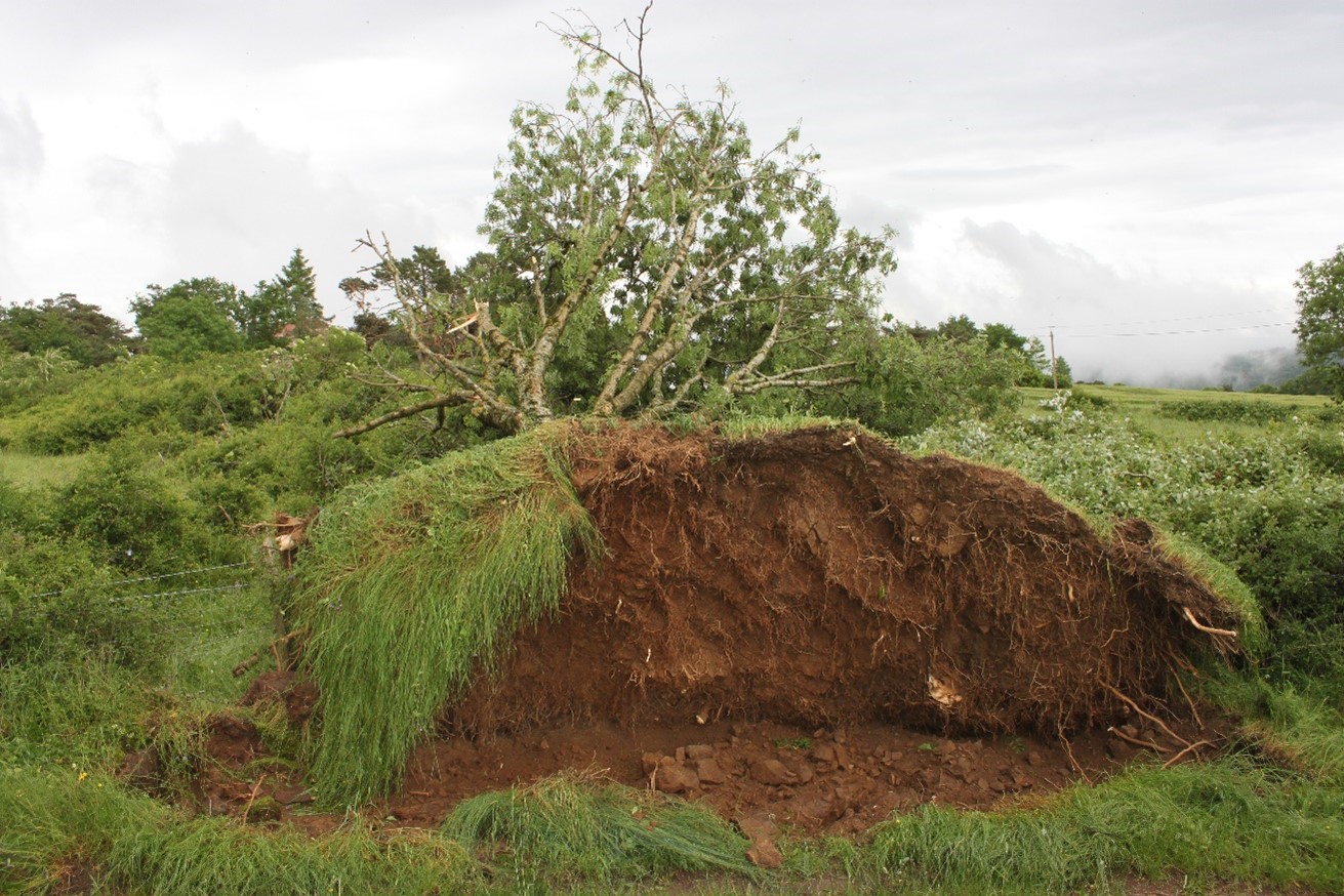 tornade14