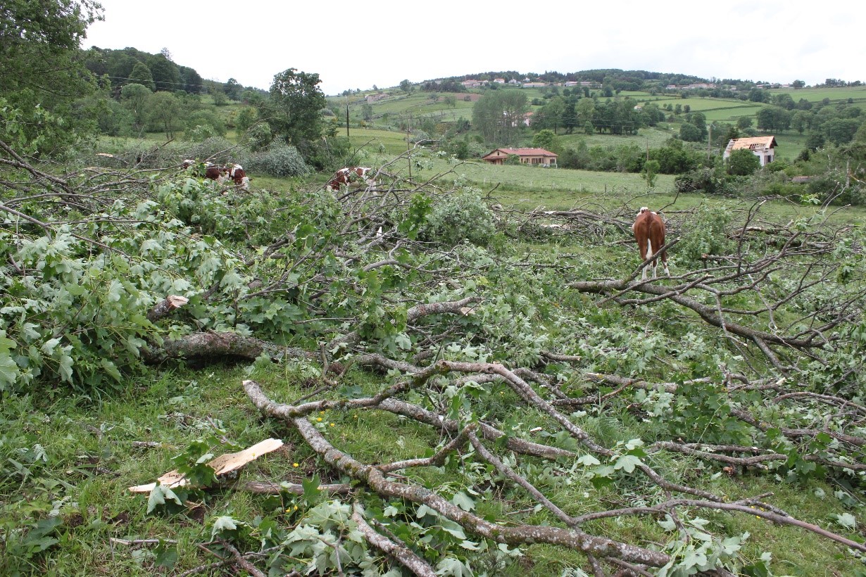 tornade27