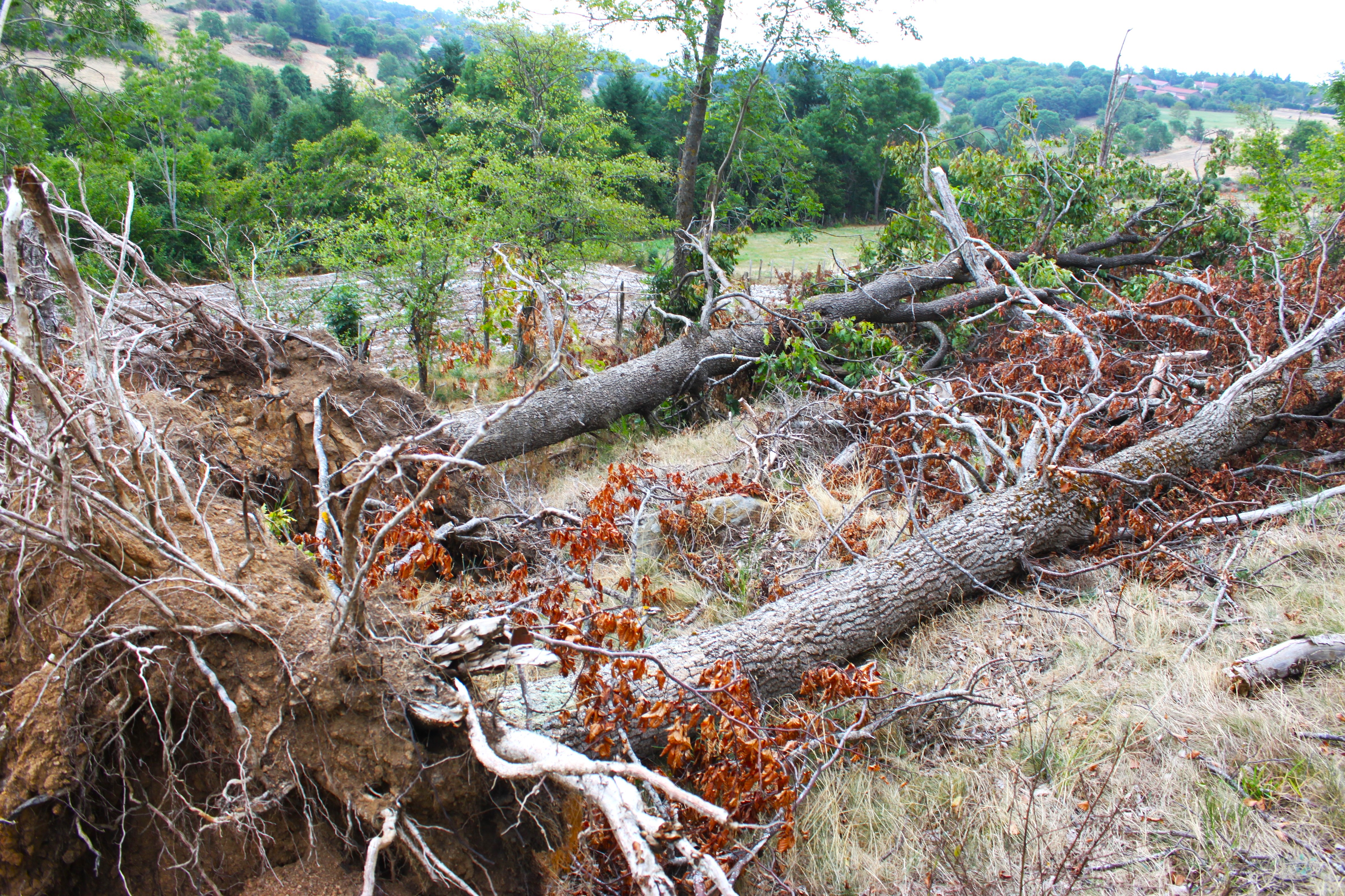 tornade35