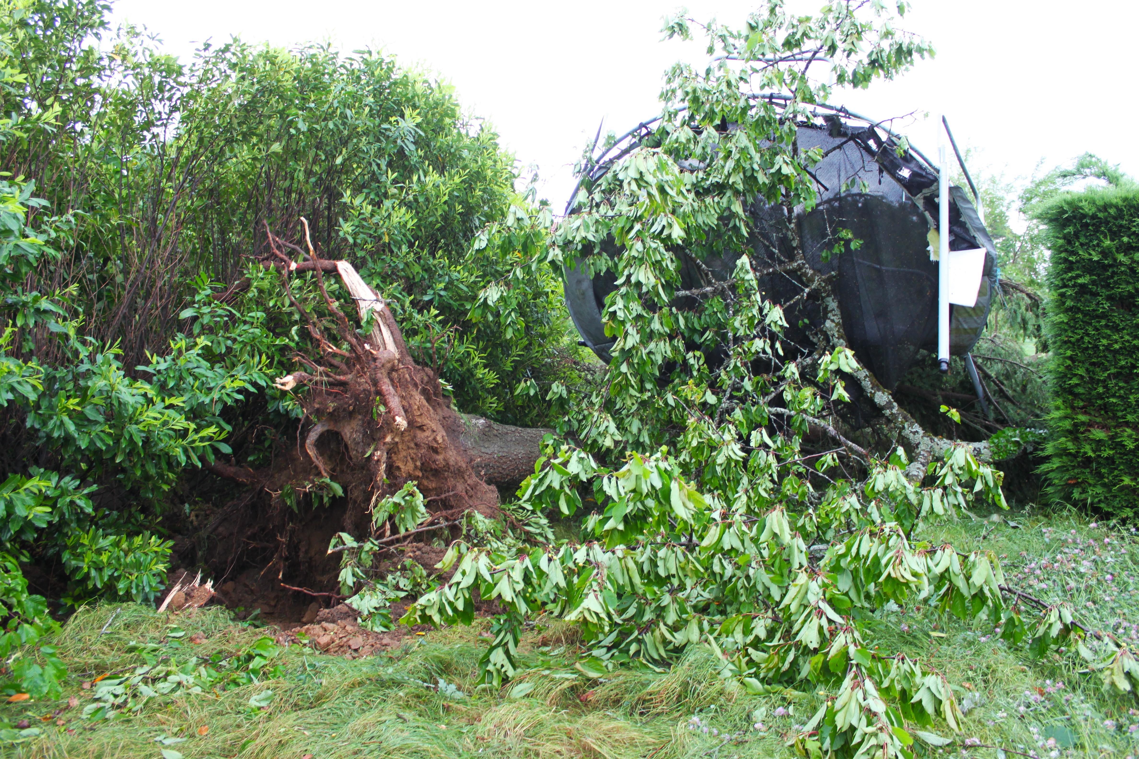 tornade4