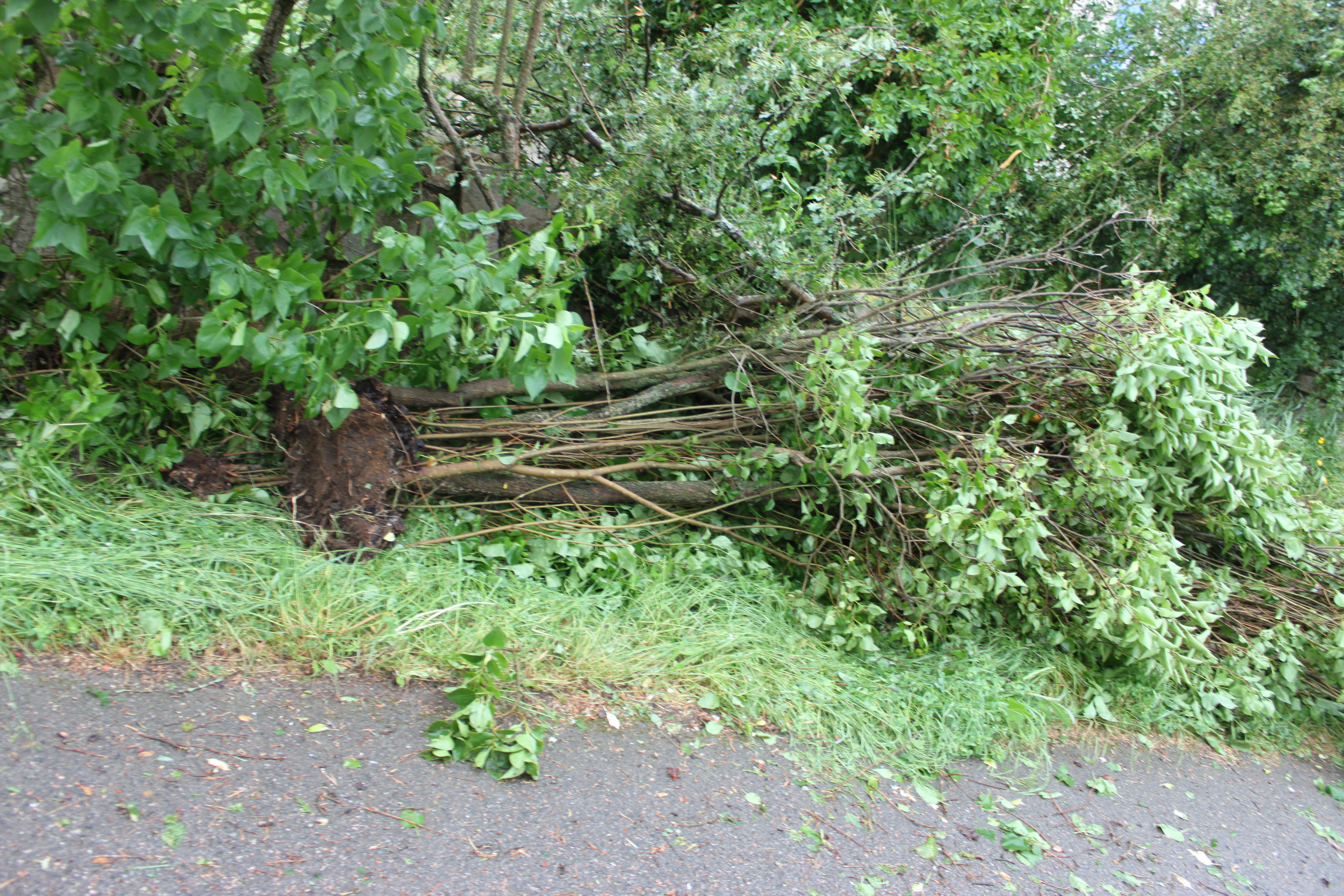 tornade7