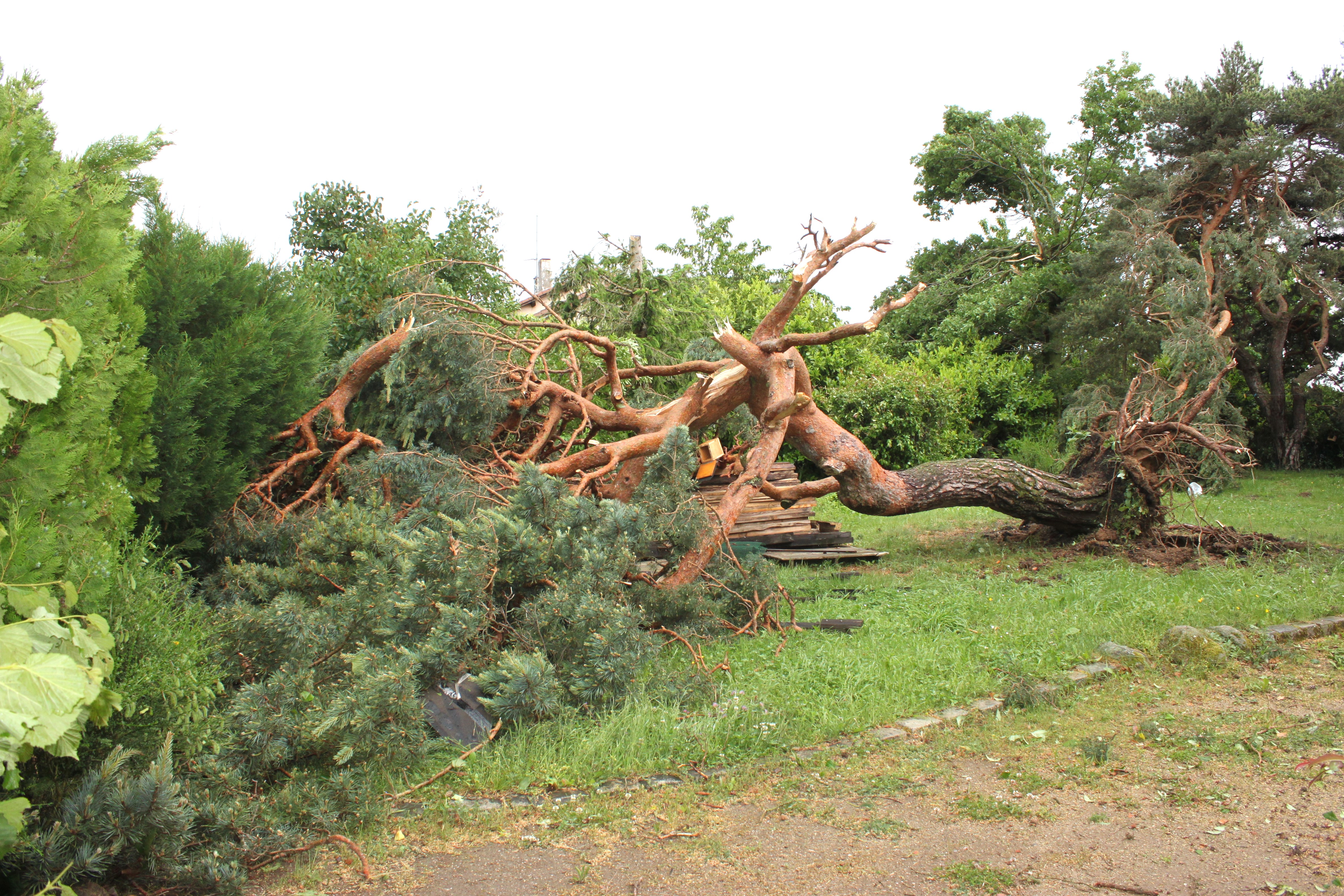 tornade8